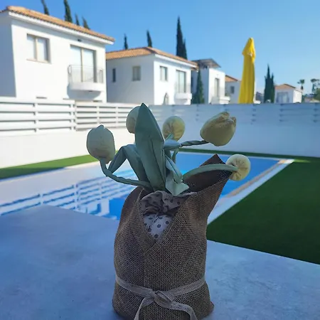 Guenther Palm Village Villa Protaras